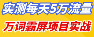 百度万词霸屏实操项目引流课，30天霸屏10万关键词网赚项目-副业赚钱-互联网创业-资源整合菜园地