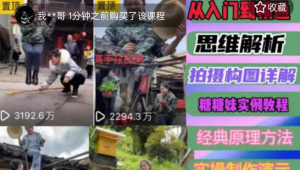 东方糖糖妹抖音短视频全套实战课思维+拍摄+剪辑+运营,从入门到精通网赚项目-副业赚钱-互联网创业-资源整合菜园地