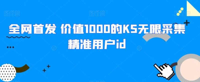 全网首发 价值1000的KS无限采集精准用户id网赚项目-副业赚钱-互联网创业-资源整合菜园地